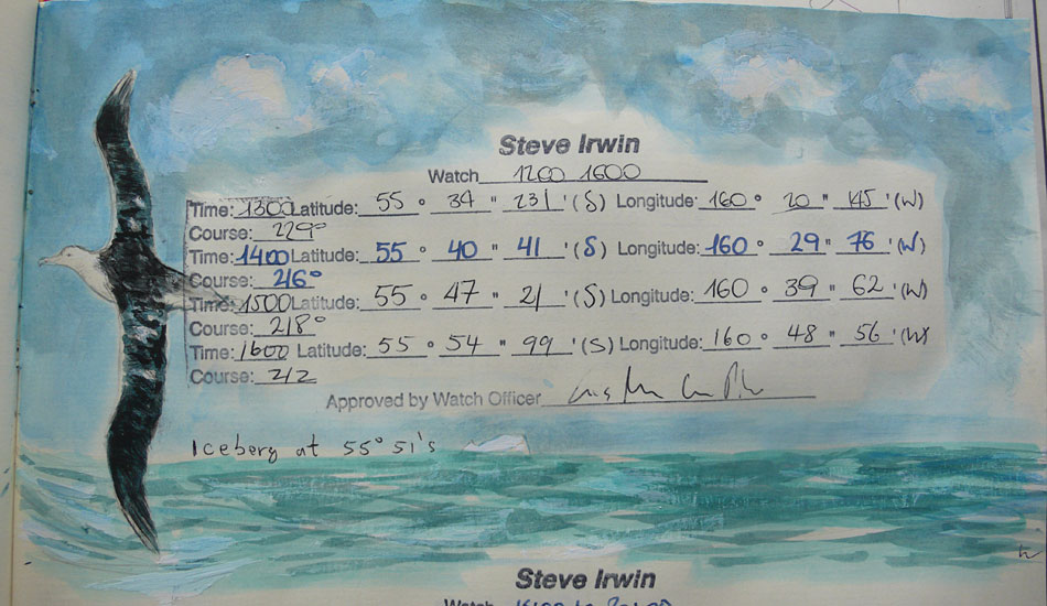 Albatross in the logbook of the Steve Irwin. Illustration: Howie Cooke