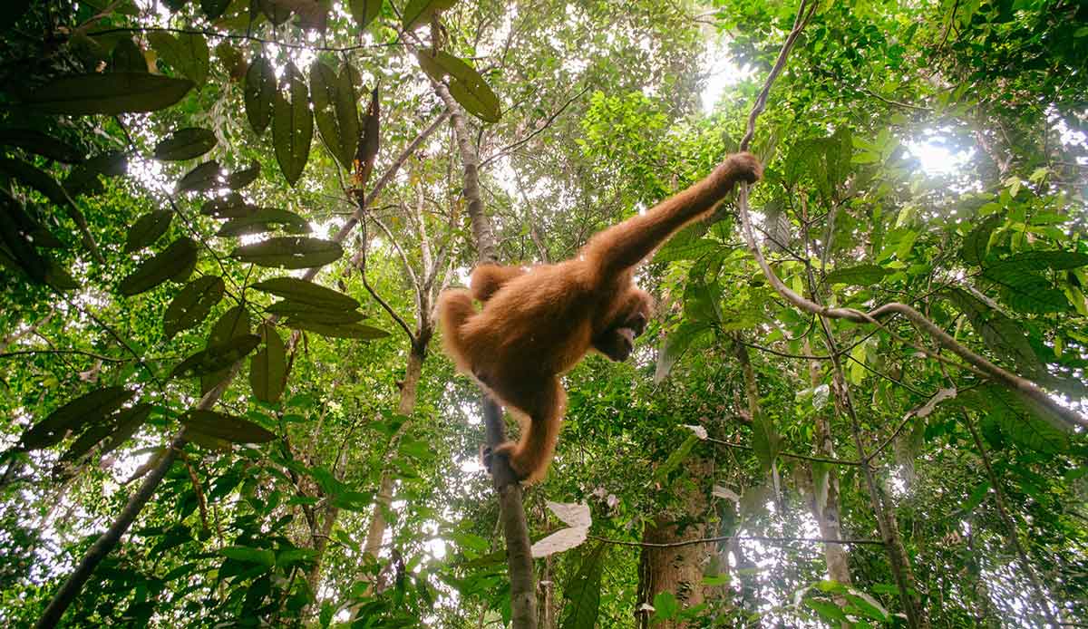 This is what freedom looks like. Photo: <a href= \"https://joaobracourt.com/\" target=_blank>Joao Bracourt.</a>