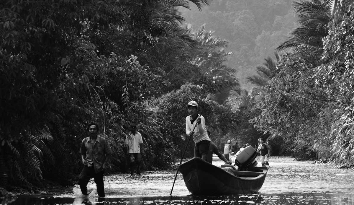 Siberut. Photo: <a href= \"https://joaobracourt.com/\" target=_blank>Joao Bracourt.</a>
