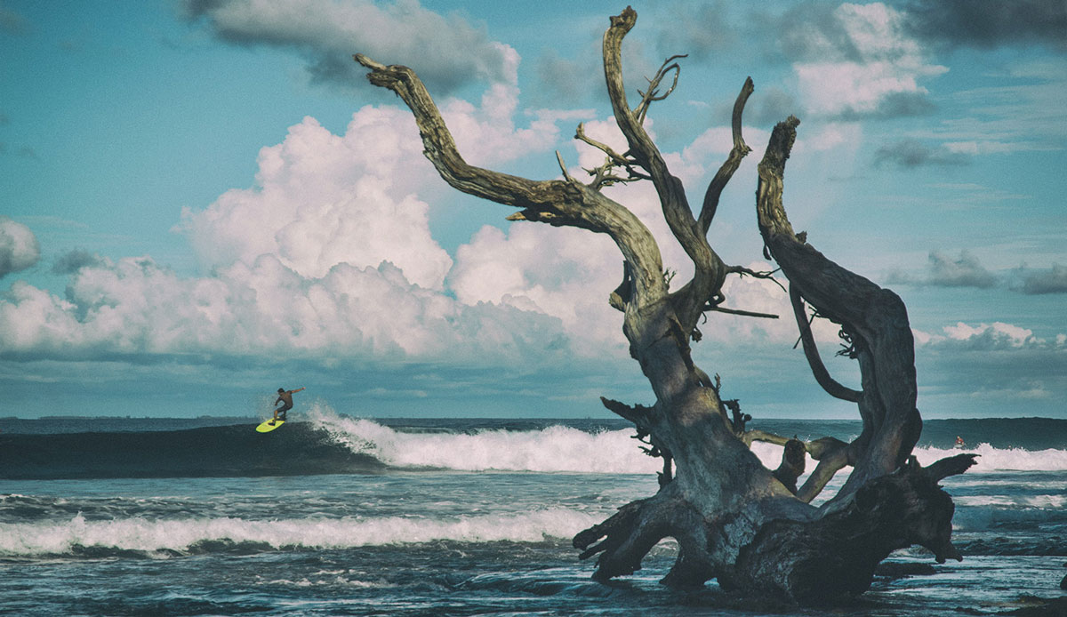 Mentawai land. Photo: <a href= \"https://joaobracourt.com/\" target=_blank>Joao Bracourt.</a>