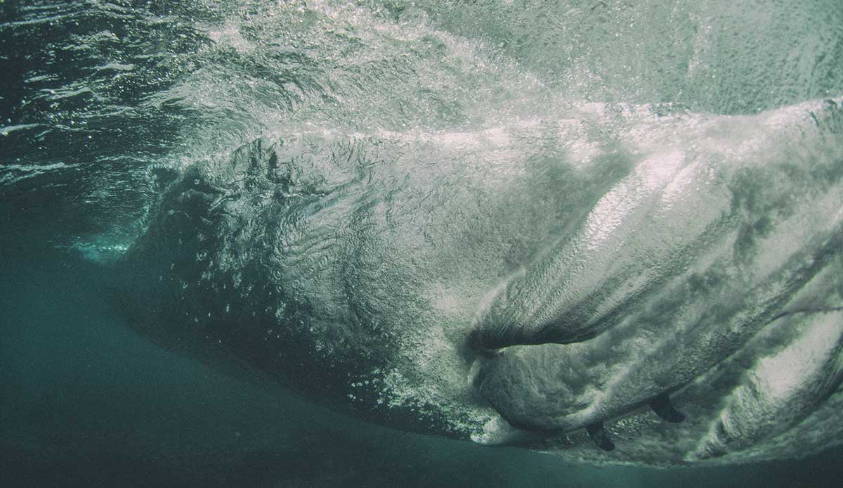 Tuberiding. Photo: <a href= \"https://joaobracourt.com/\" target=_blank>Joao Bracourt.</a>