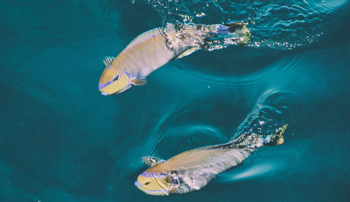 Friends. Photo: <a href= \"https://joaobracourt.com/\" target=_blank>Joao Bracourt.</a>