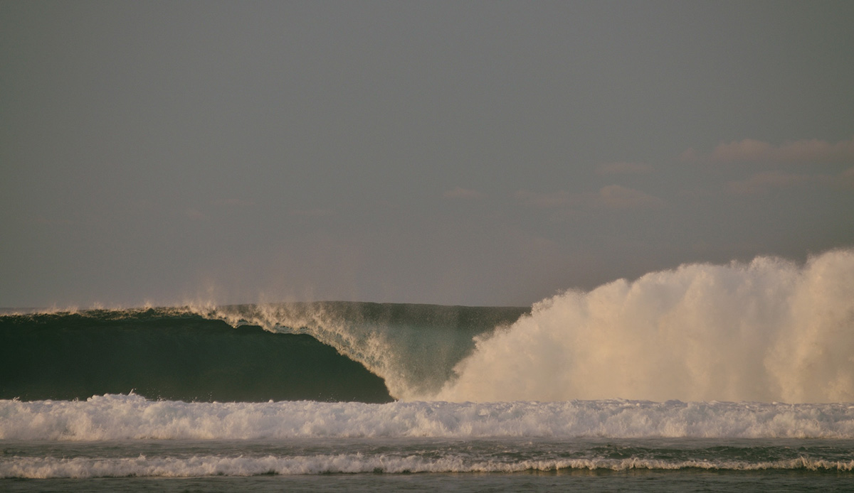 HTs. Photo: <a href= \"https://joaobracourt.com/\" target=_blank>Joao Bracourt.</a>