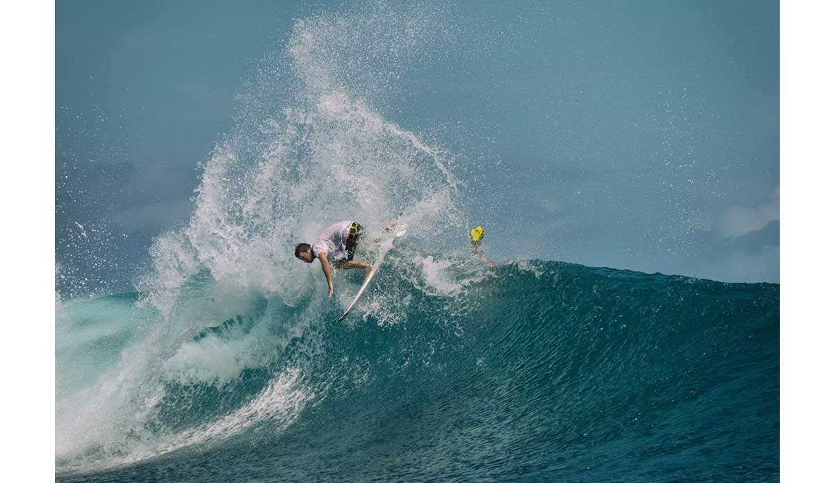 Taj is a regular around these parts. Photo: <a href= \"https://joaobracourt.com/\" target=_blank>Joao Bracourt.</a>