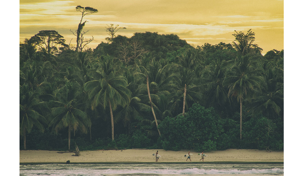 You know the walk. Don\'t do the talk. Photo: <a href= \"https://joaobracourt.com/\" target=_blank>Joao Bracourt.</a>