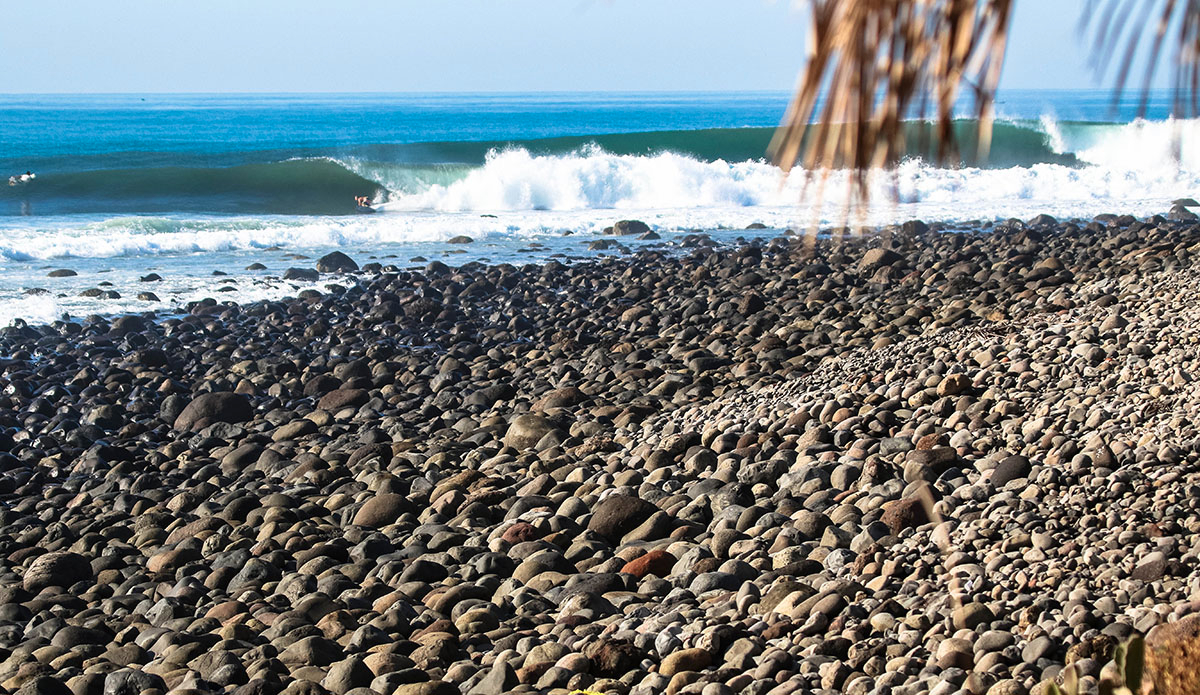 Photo: Brendan Simmons