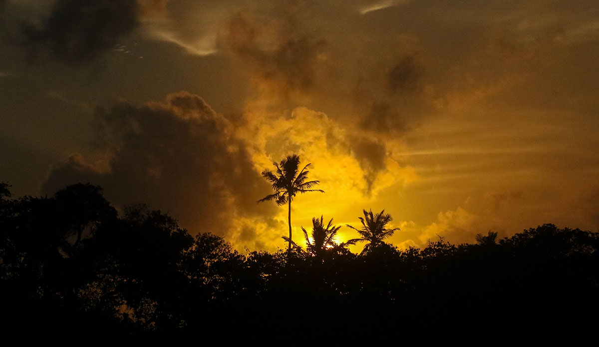 Photo: Brendan Simmons