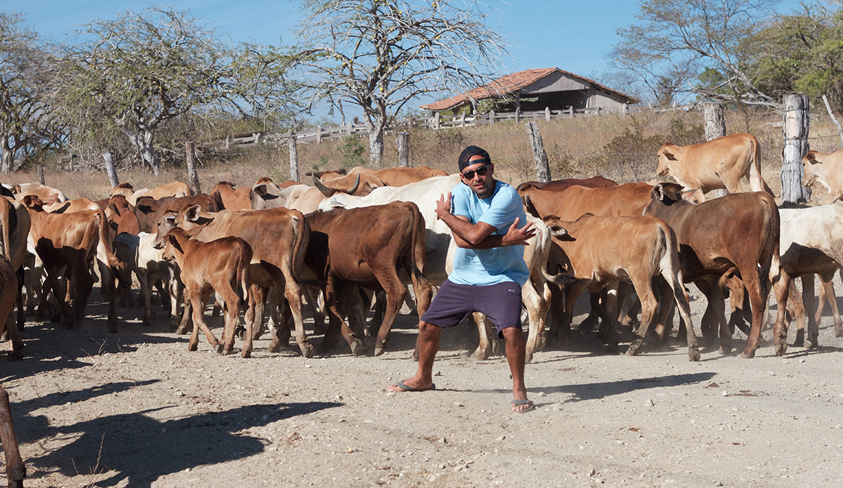 Photo: Brendan Simmons