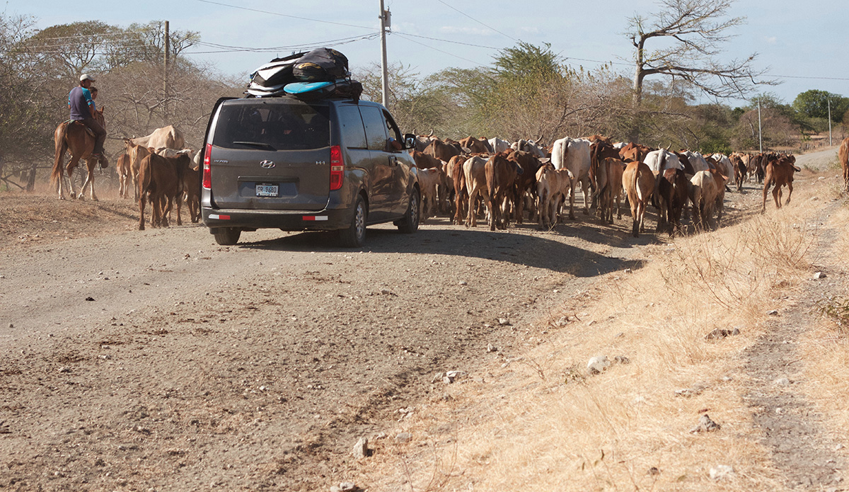 Photo: Brendan Simmons