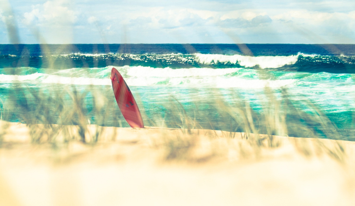 Single fin summer days. Photo: <a href=\"https://brentonderooy.com/\">Brenton de Rooy</a>