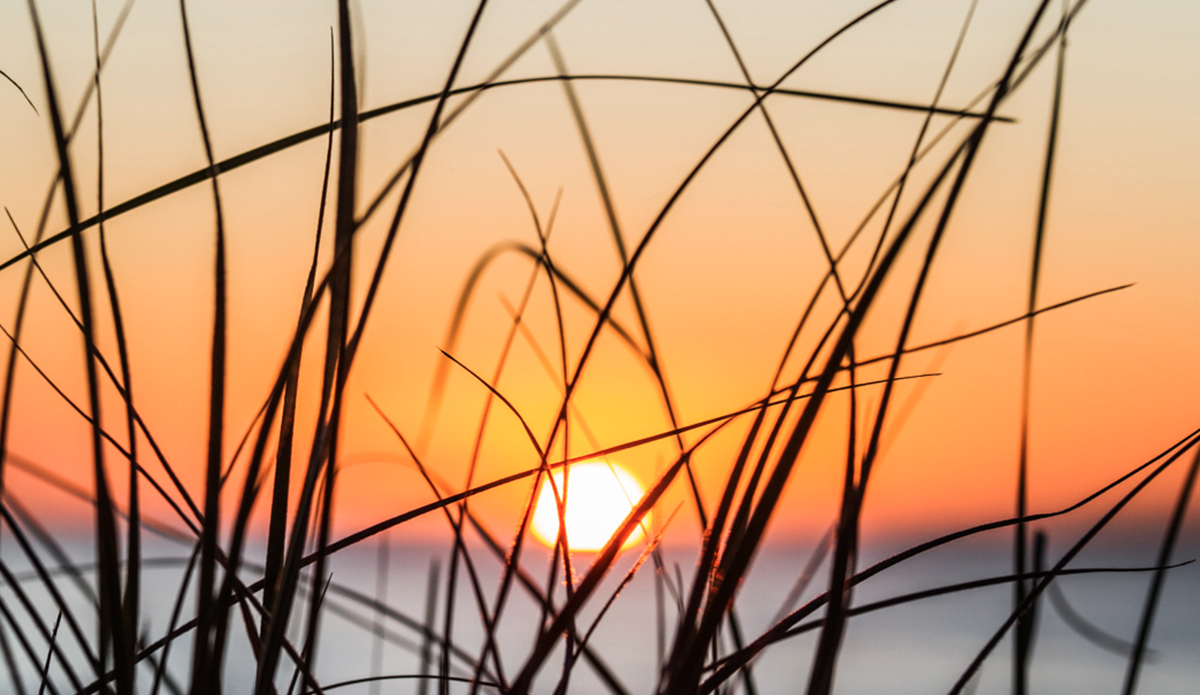 Thick as thieves, Shorebreak Main Beach NSW. Photo: <a href=\"https://brentonderooy.com/\">Brenton de Rooy</a>