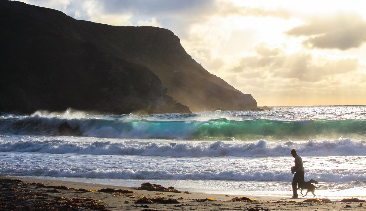 Pimu. Photo: <a href=\"https://www.instagram.com/balyall\">Brett Allen.</a>