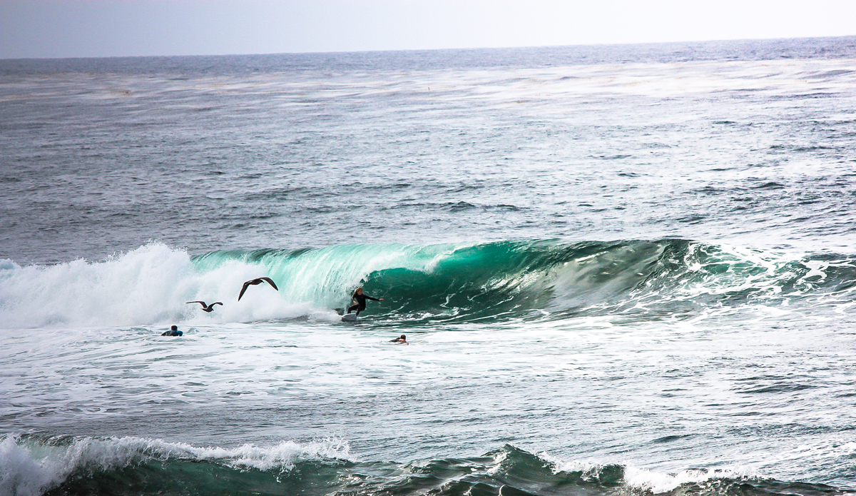 Tuck in. Photo: <a href=\"https://www.instagram.com/balyall\">Brett Allen.</a>