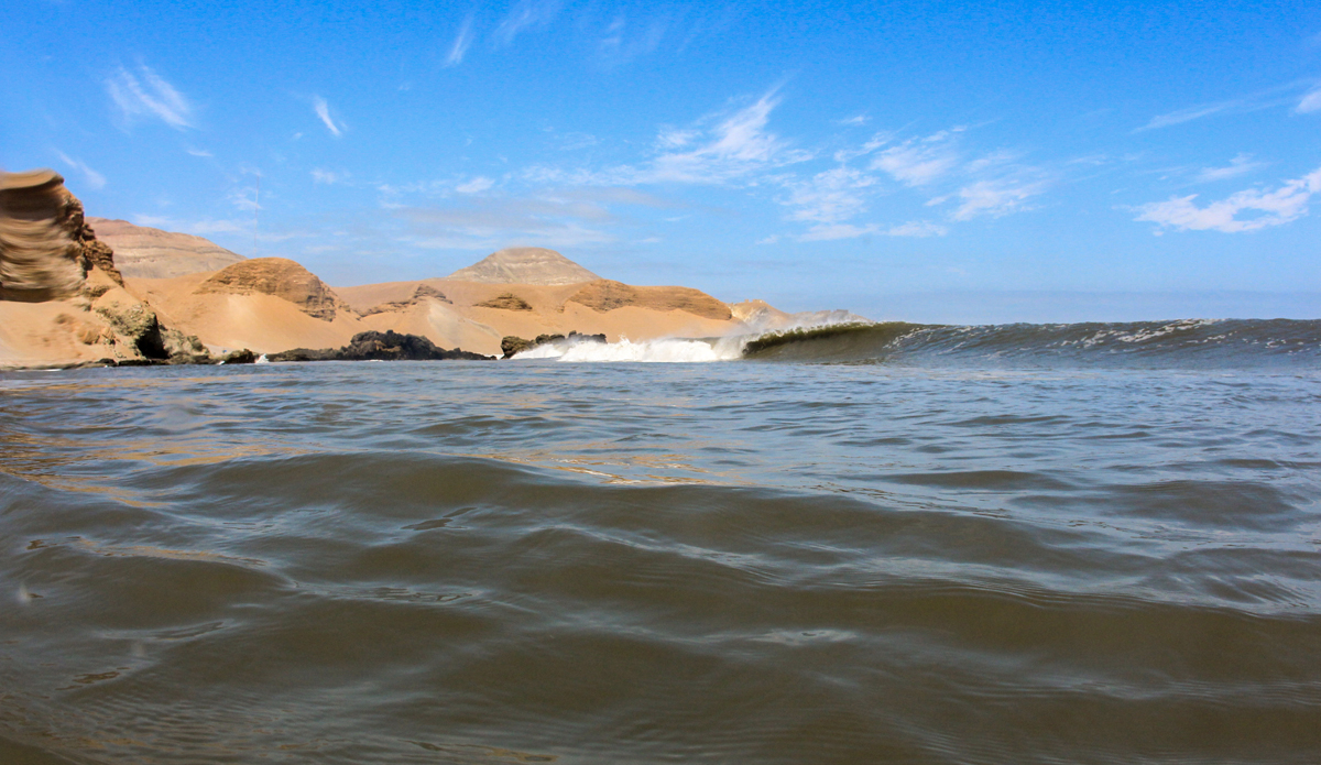 Lined up.Photo: <a href=\"https://www.instagram.com/balyall\">Brett Allen.</a>