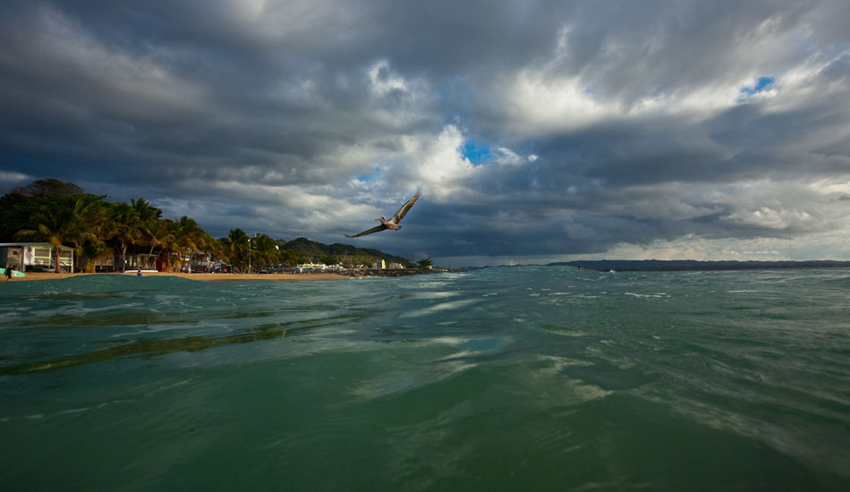 Photo: Maya Bengston/<a href=\"https://www.sva.edu/artsabroad/rincon.html\" target=_blank>School of Visual Arts</a>