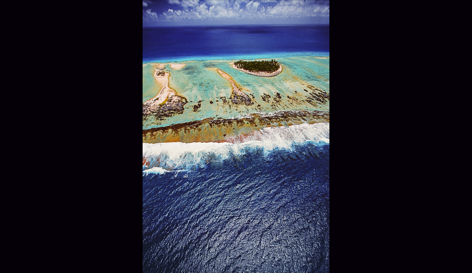 Ranga Roa Reef, French Polynesia, 1996. Image: <a href=\"http://www.artbrewer.com/\" target=\"_blank\">Brewer</a>