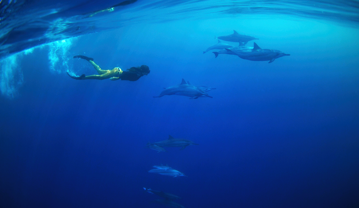 My daughter (Tea) swimming with the dolphins.