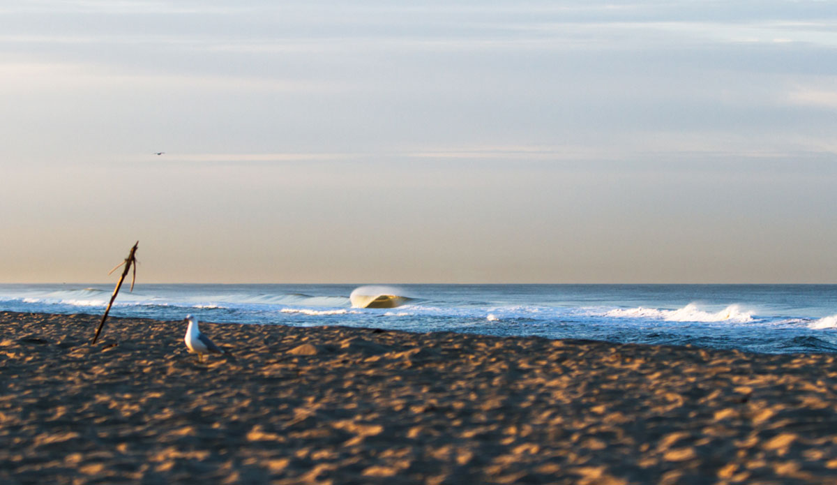 Just when you think there isn\'t any surf, you drive two miles up the coast from one spot and find this gem.  Safe to say it was a rewarding morning.   Photo: <a href=\"https://www.kincaidcliffordphotography.com/\"> Brian Clifford</a>