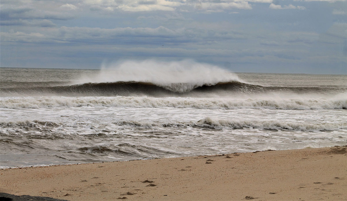 Photo: Brian Shannon 