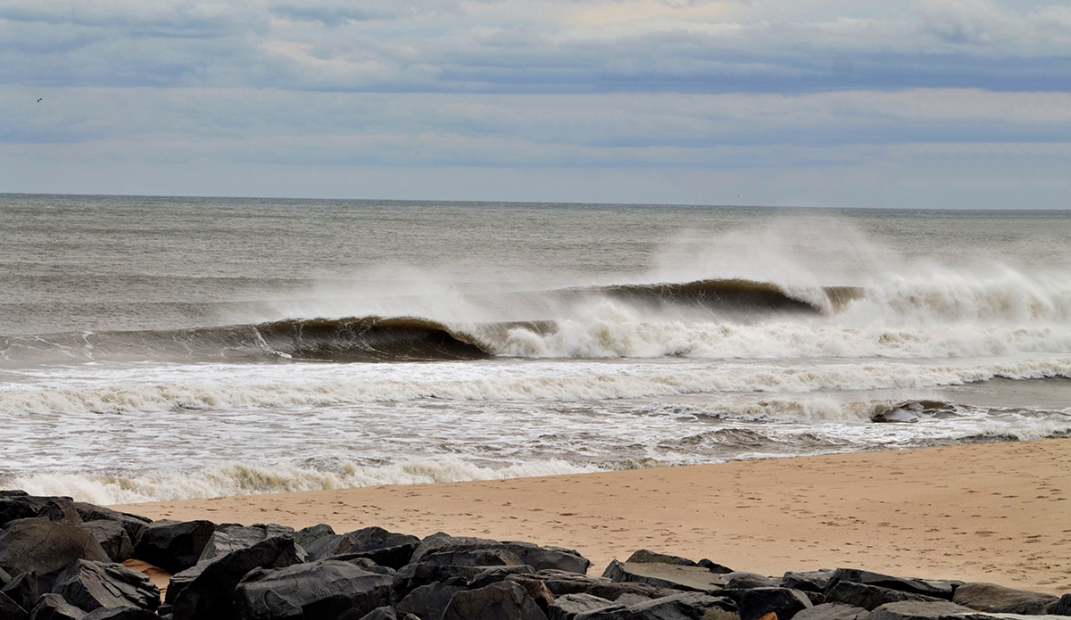 Photo: Brian Shannon 