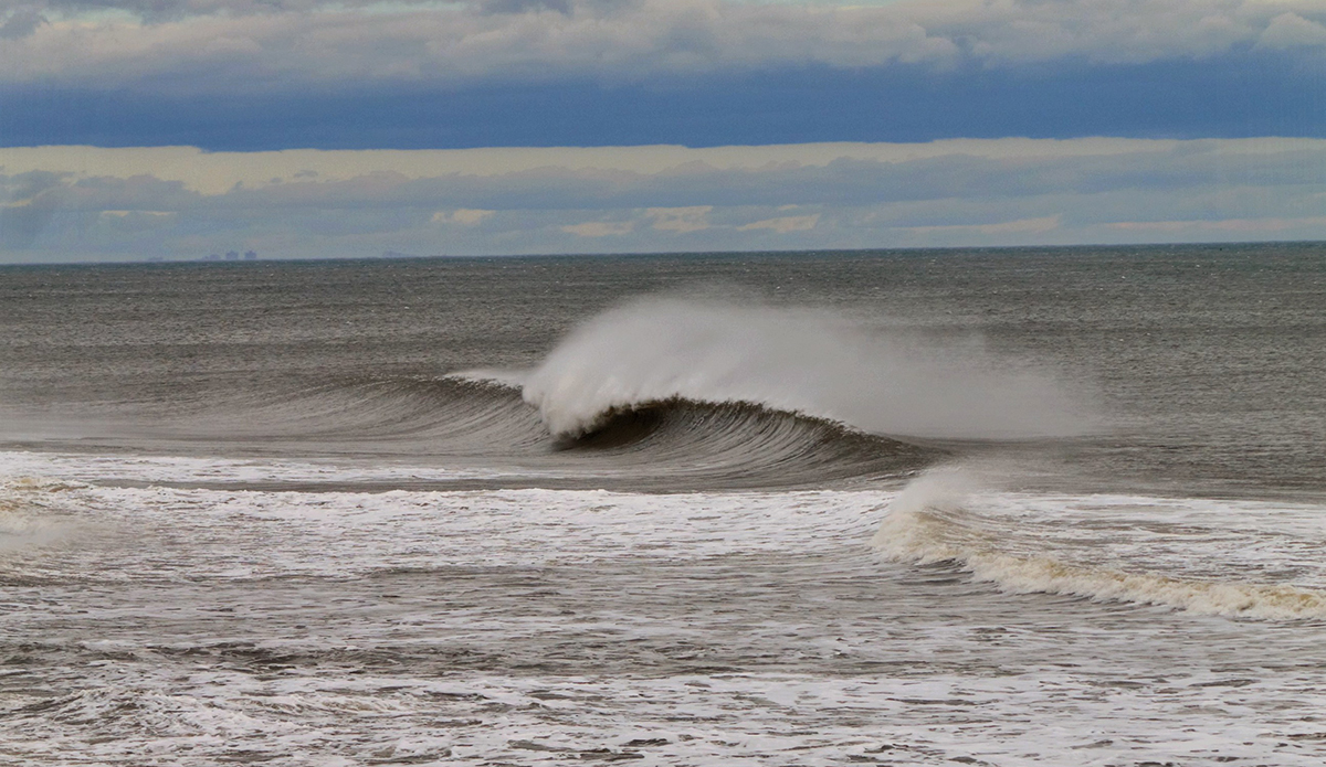 Photo: Brian Shannon 