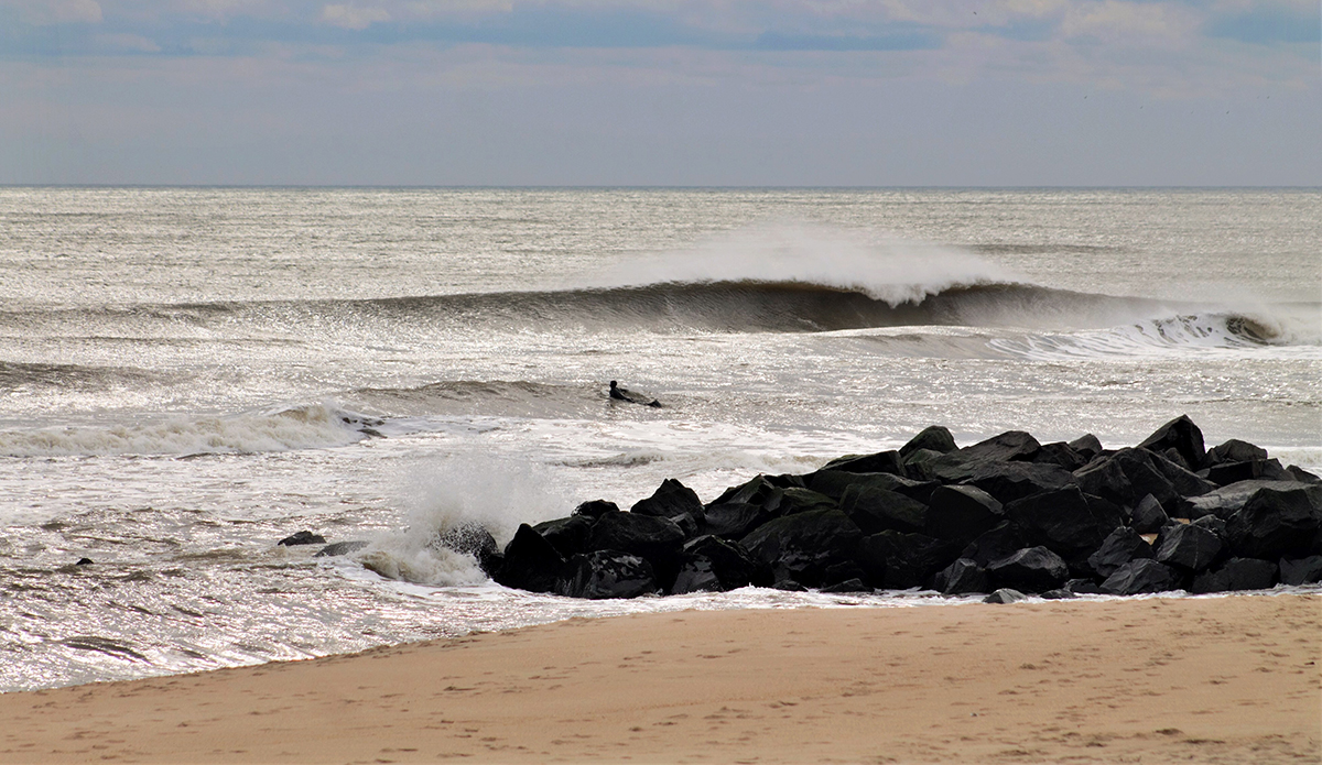 Photo: Brian Shannon 