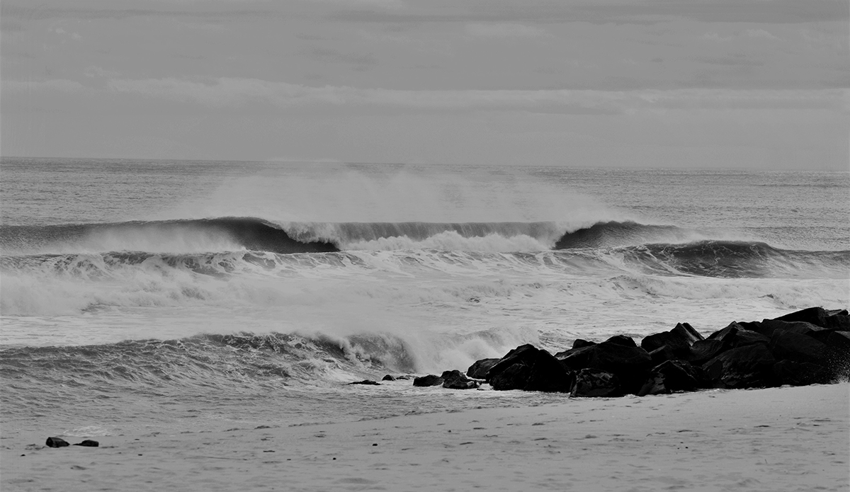 Photo: Brian Shannon 