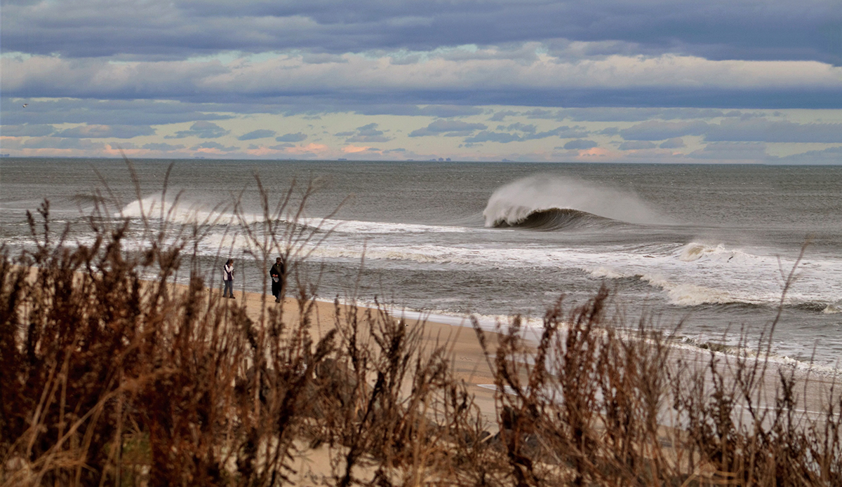 Photo: Brian Shannon 