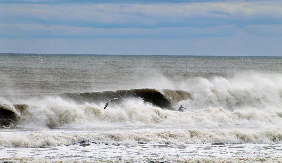 Photo: Brian Shannon 