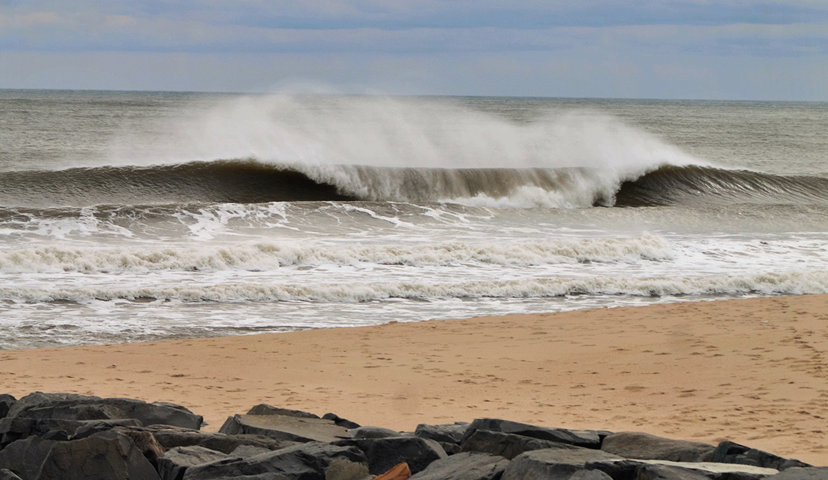 Photo: Brian Shannon 