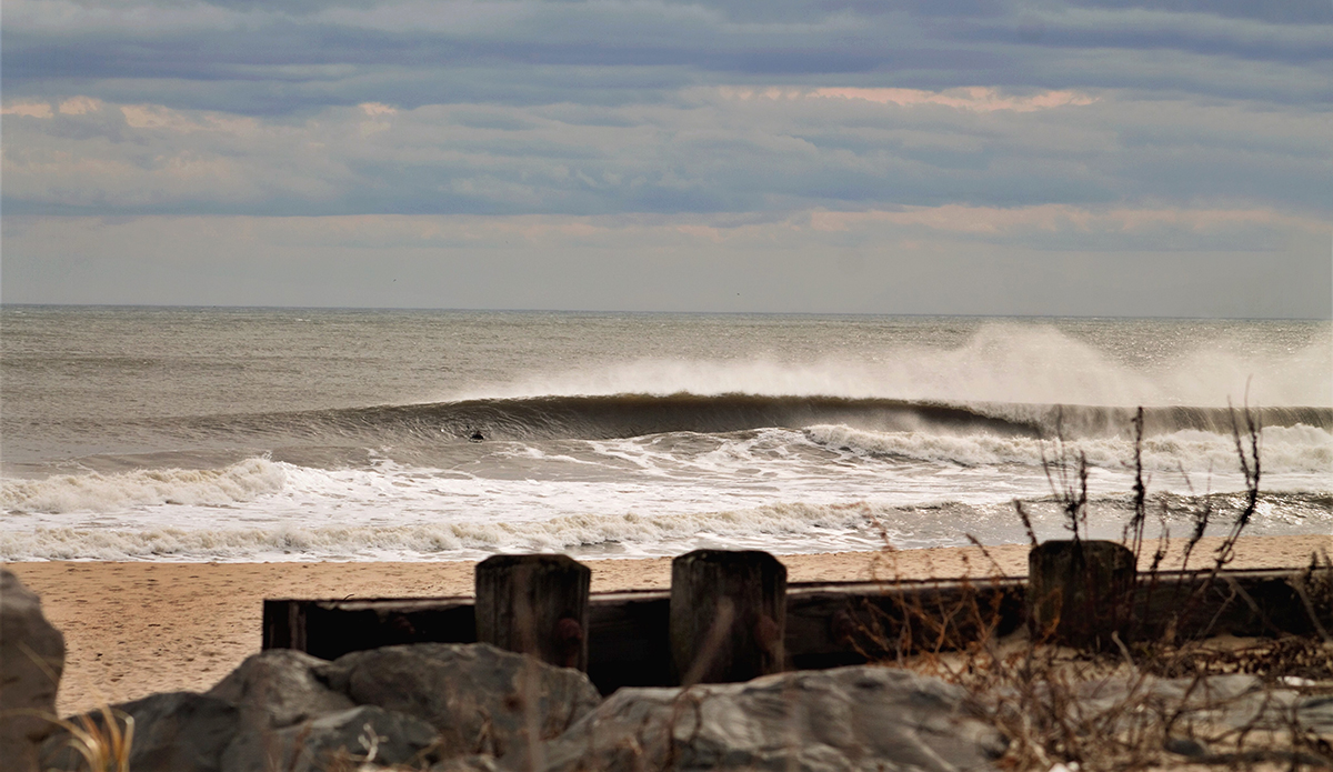 Photo: Brian Shannon 