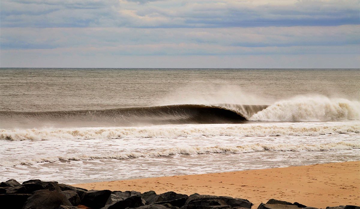 Photo: Brian Shannon 