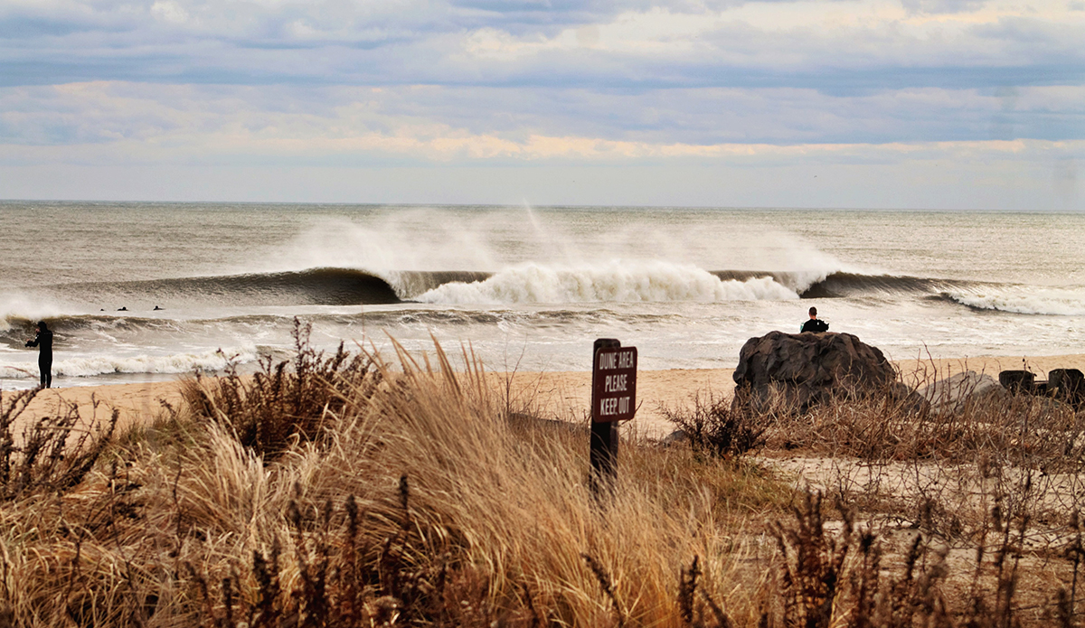 Photo: Brian Shannon 