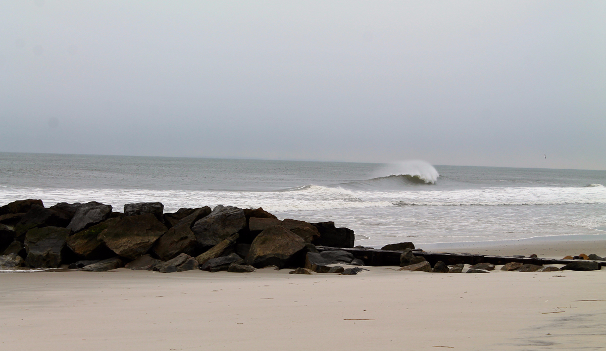 Business in the Front, Party in the Back Photo: <a href=\"https://briantshannon.smugmug.com/\">Brian Shannon</a>