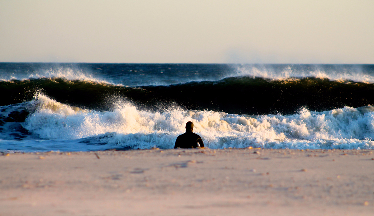 Into the Wild Photo: <a href=\"https://briantshannon.smugmug.com/\">Brian Shannon</a>