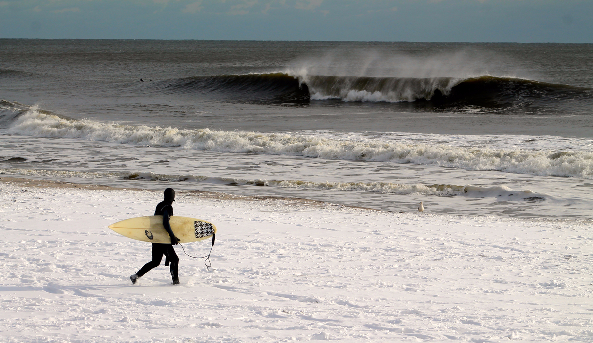 Looking and Liking Photo: <a href=\"https://briantshannon.smugmug.com/\">Brian Shannon</a>