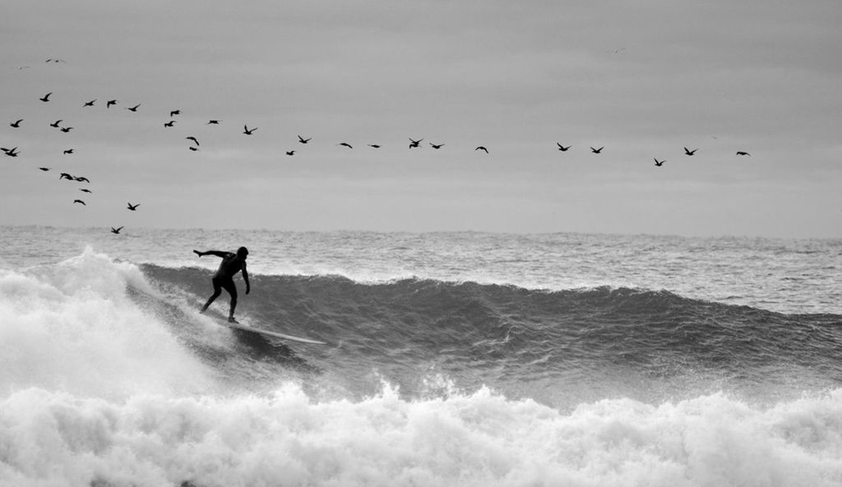 Not just for the birds. Montauk, NY. Photo: <a href=\"https://cargocollective.com/brigidlallyphotography\">Brigid Lally</a>