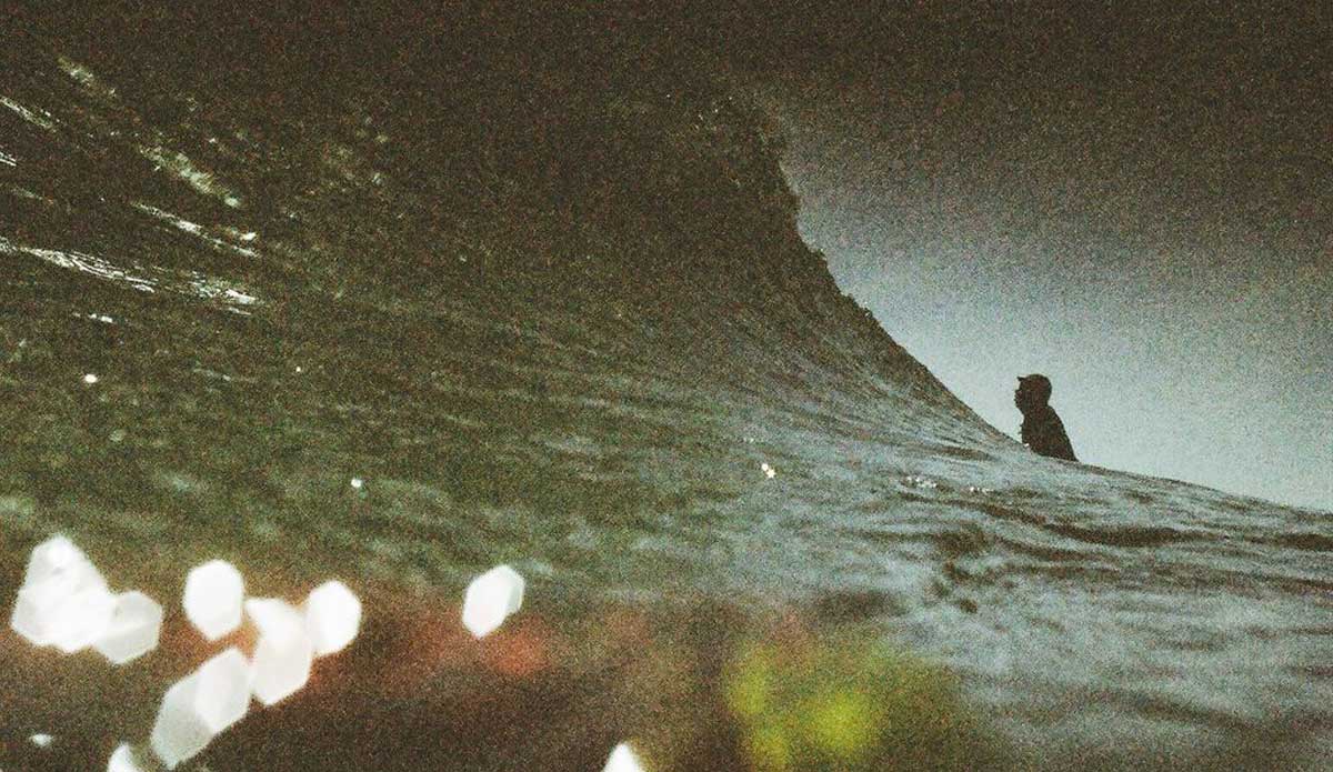 Duck. Far Rockaways, NY. Photo: <a href=\"https://cargocollective.com/brigidlallyphotography\">Brigid Lally</a>