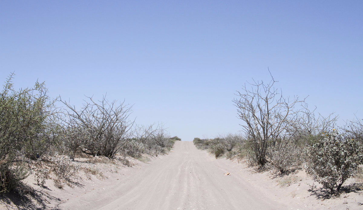 Baja trails. Photo: <a href=\"https://www.tylerbrundage.com/\" target=\"_blank\">Tyler Brundage</a>