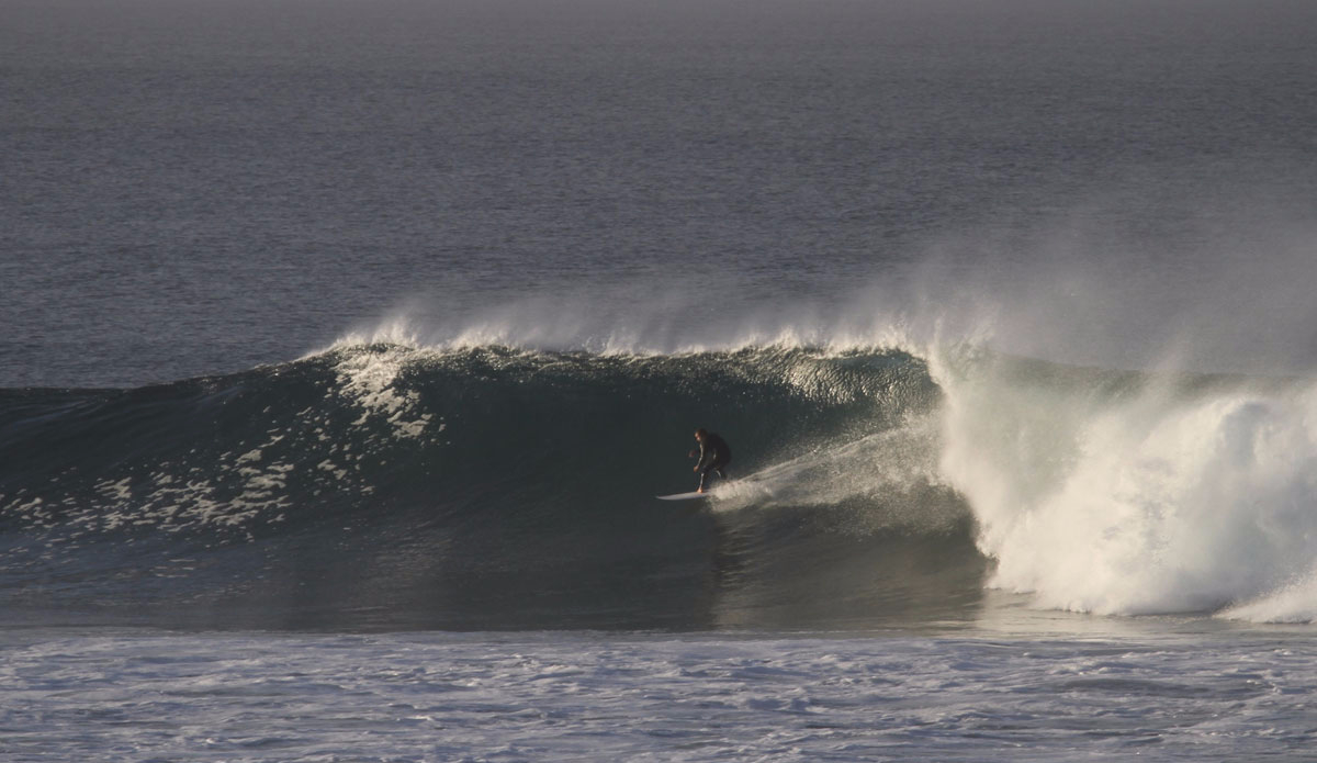 Dino Andino. Photo: <a href=\"https://www.tylerbrundage.com/\" target=\"_blank\">Tyler Brundage</a>