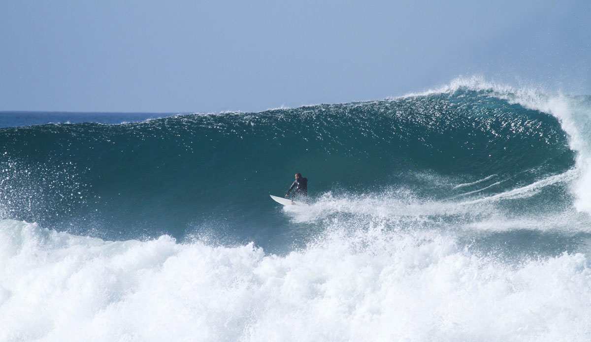 Dino on a macker. Photo: <a href=\"https://www.tylerbrundage.com/\" target=\"_blank\">Tyler Brundage</a>