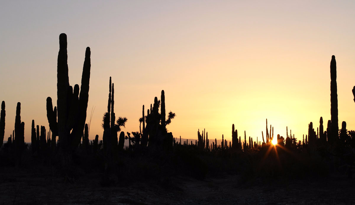 Sundown over Baja. Photo: <a href=\"https://www.tylerbrundage.com/\" target=\"_blank\">Tyler Brundage</a>