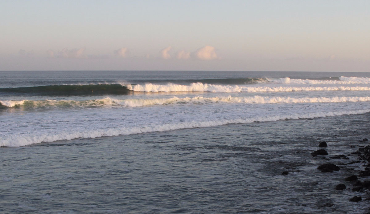 Lineup. Photo: <a href=\"https://www.tylerbrundage.com/\" target=\"_blank\">Tyler Brundage</a>