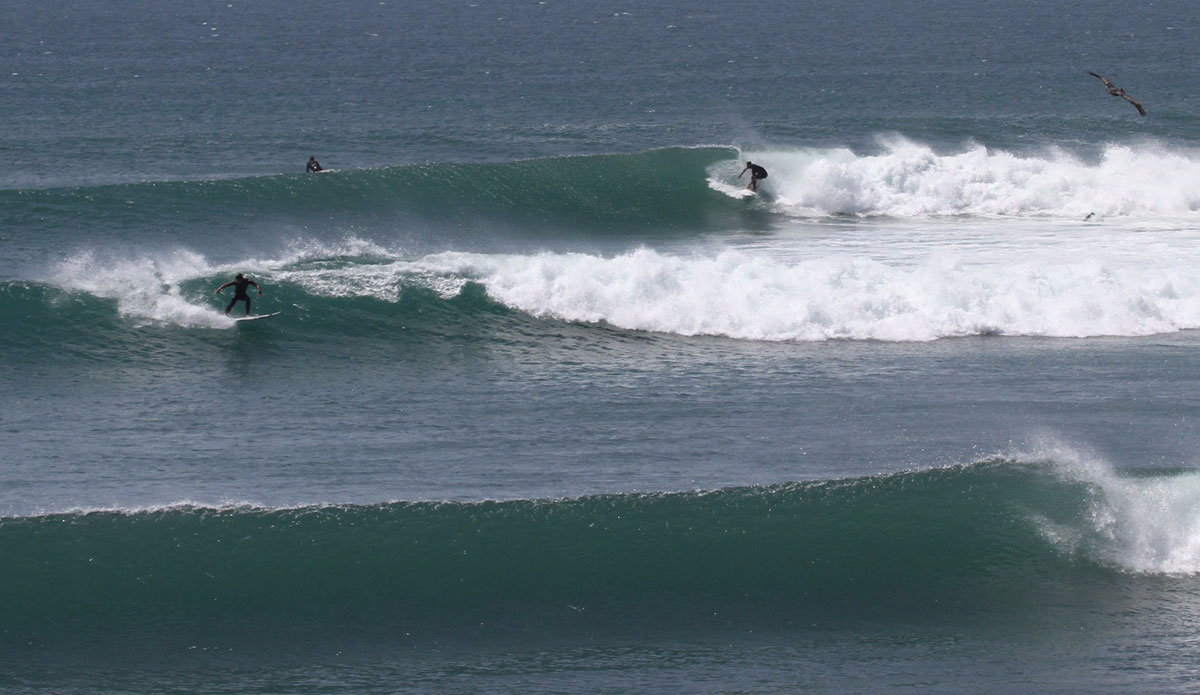 Mexican hat dance. Tyler Hosseini and Mike Coover. Photo: <a href=\"https://www.tylerbrundage.com/\" target=\"_blank\">Tyler Brundage</a>