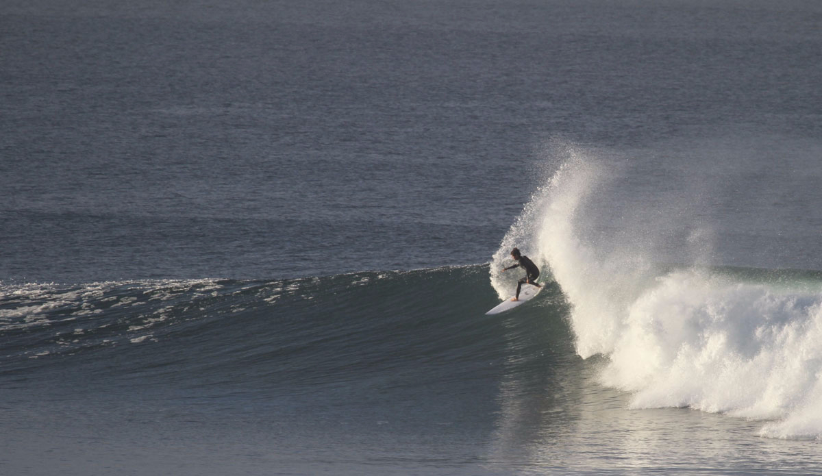 Parsons spray. Photo: <a href=\"https://www.tylerbrundage.com/\" target=\"_blank\">Tyler Brundage</a>