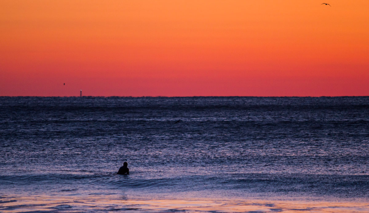 The best seat in the house. Photo: <a href=\"https://www.bryannicholson.com/\">Bryan Nicholson</a>