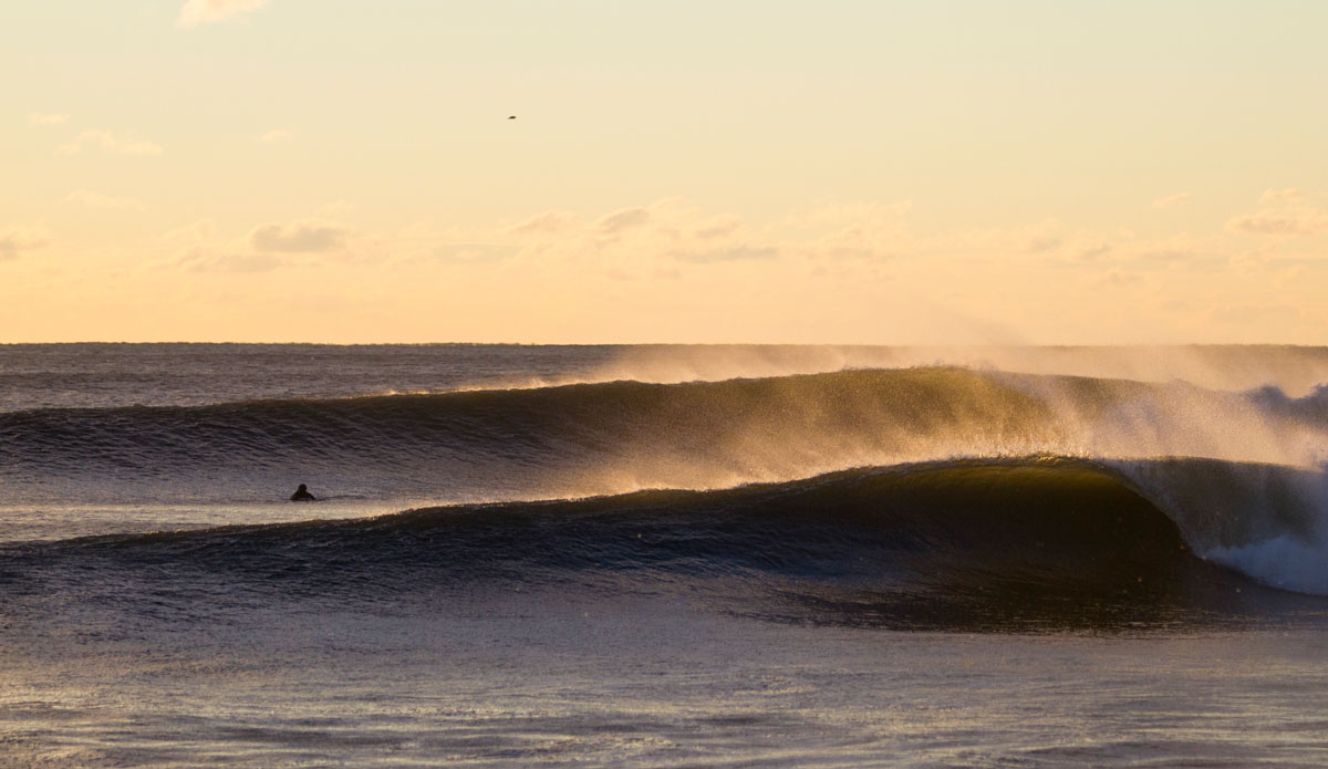 Double vision in the early morning light. Photo: <a href=\"https://www.bryannicholson.com/\">Bryan Nicholson</a>
