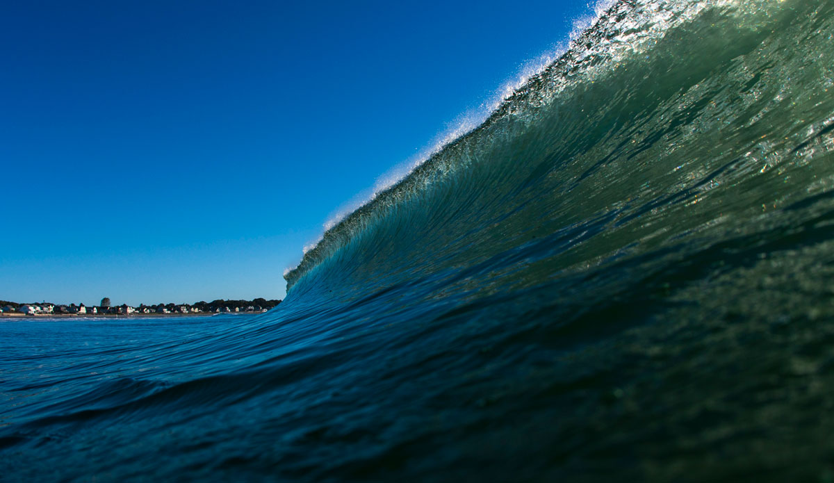 Green walls. Photo: <a href=\"https://www.bryannicholson.com/\">Bryan Nicholson</a>