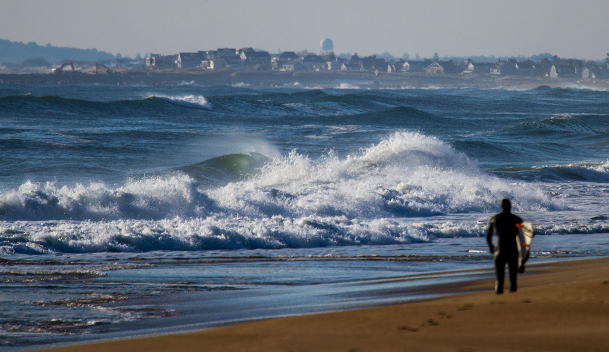 Contemplation. Photo: <a href=\"https://www.bryannicholson.com/\">Bryan Nicholson</a>