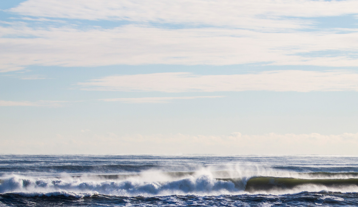 This past winter was cold. A frozen left. Photo: <a href=\"https://www.bryannicholson.com/\">Bryan Nicholson</a>